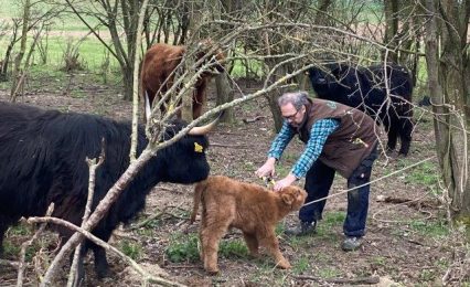 16.Mama ist einverstanden